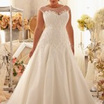 Lace Wedding Gowns for Plus-Sized Women (10)