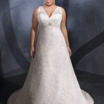 Lace Wedding Gowns for Plus-Sized Women (13)