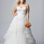 Lace Wedding Gowns for Plus-Sized Women (14)