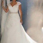 Lace Wedding Gowns for Plus-Sized Women (7)