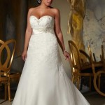 Lace Wedding Gowns for Plus-Sized Women (8)