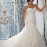 Lace Wedding Gowns for Plus-Sized Women (9)