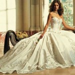 stylish fancy wedding gown dress