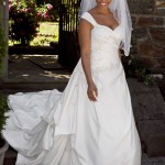 Collection Of The American Bridal Dress Collection Of The American Bridal Dress