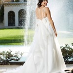 Delightful and Glamorous 2015 Bridal Fall Collection by Venus Delightful and Glamorous 2015 Bridal Fall Collection by Venus
