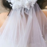 Admiring Bridal Hair Accessories With Veil Admiring Bridal Hair Accessories With Veil