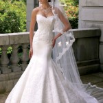 White Long And Embroidered Wedding Veils With Mermaid Gown White Long And Embroidered Wedding Veils With Mermaid Gown