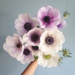 Different Color Poppy Flower Bouquets for Bridals & Bridesmaids Different Color Poppy Flower Bouquets for Bridals & Bridesmaids