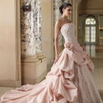 Colorful Gown for Bridal Colorful Gown for Bridal
