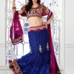 Blue-Appliqued-Net-Jacquard-Lehenga-Choli design