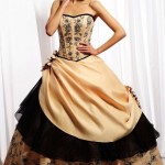 Ladies Western Strapless Tradition 2015 Outfits Collection Ladies Western Strapless Tradition 2015 Outfits Collection