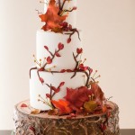 Delicious wedding Cake Pictures and Latest Ideas Delicious wedding Cake Pictures and Latest Ideas