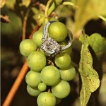 Engagement Party Themes ideas (10)