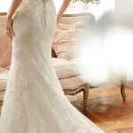 Fabulous Embroidered Bridal Gowns Collection 2017 by Sophia Tolli Fabulous Embroidered Bridal Gowns Collection 2017 by Sophia Tolli